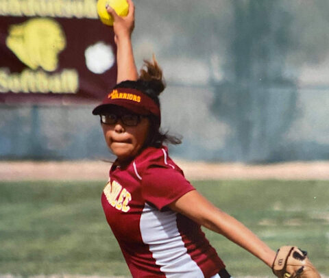softball ndnsports